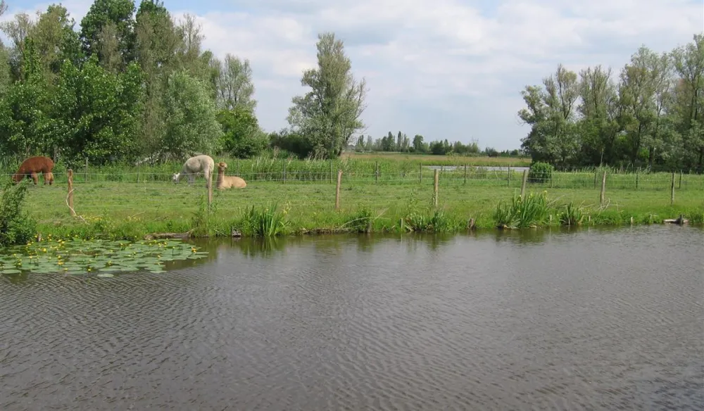 Camping tuinderij Welgelegen
