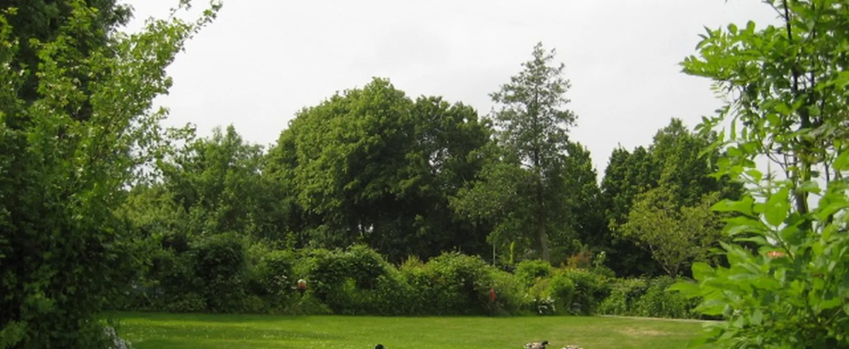 Camping tuinderij Welgelegen