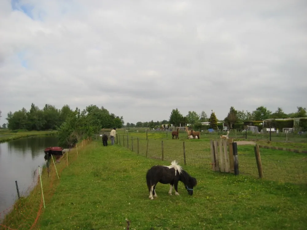 Camping tuinderij Welgelegen