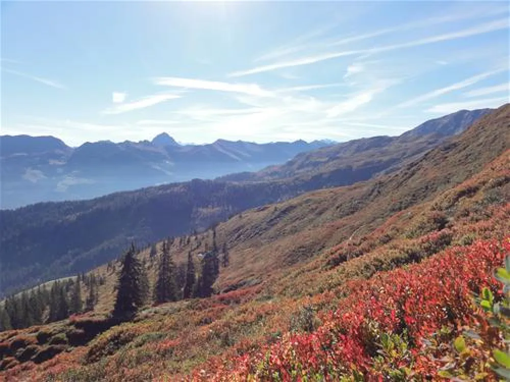 Panoramacamping Westendorf