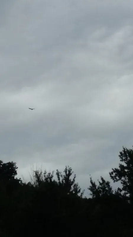 Blackhawk Valley Campground