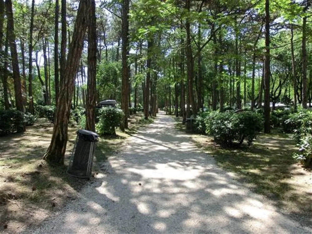 Campeggio Sabbiadoro