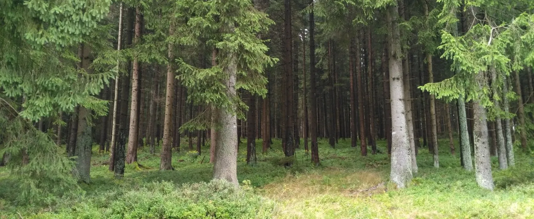 Alter Bahnhof Altenau