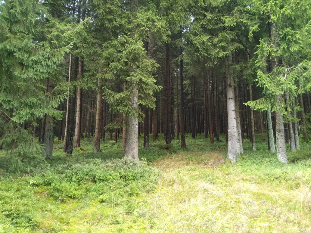 Alter Bahnhof Altenau