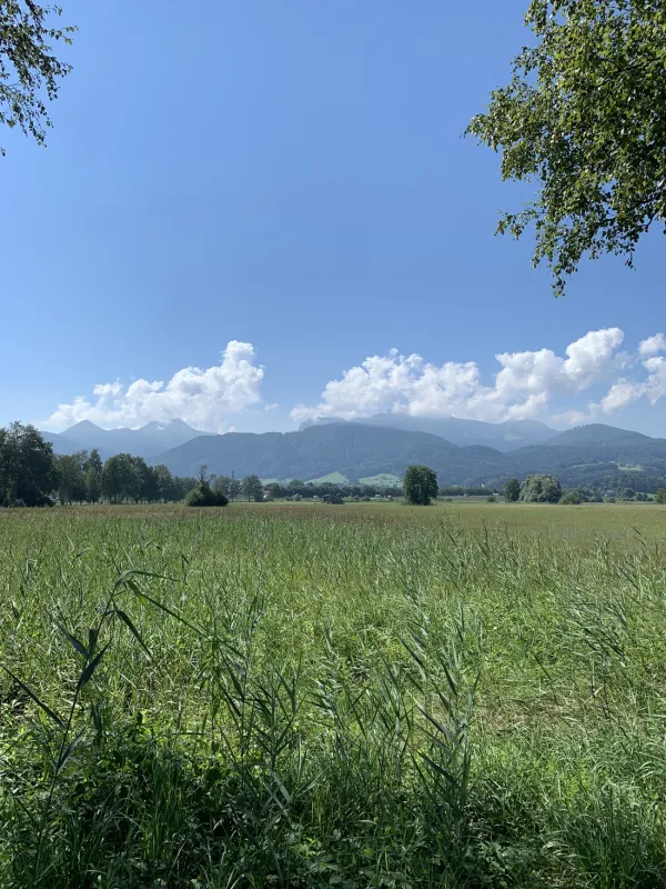 Chiemgau Camping Lambach am Chiemsee