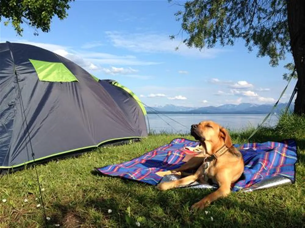 Chiemgau Camping Lambach am Chiemsee