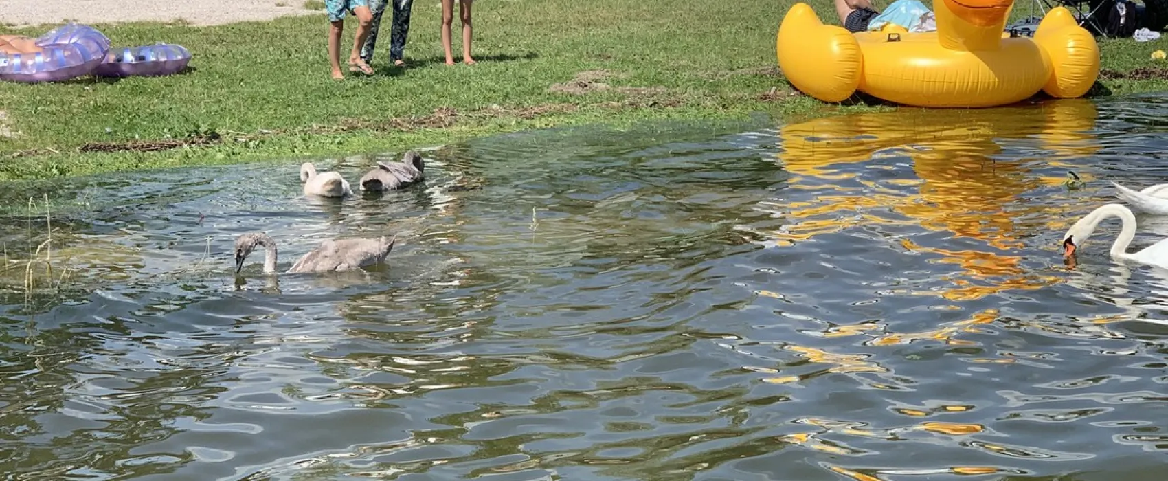 Chiemgau Camping Lambach am Chiemsee