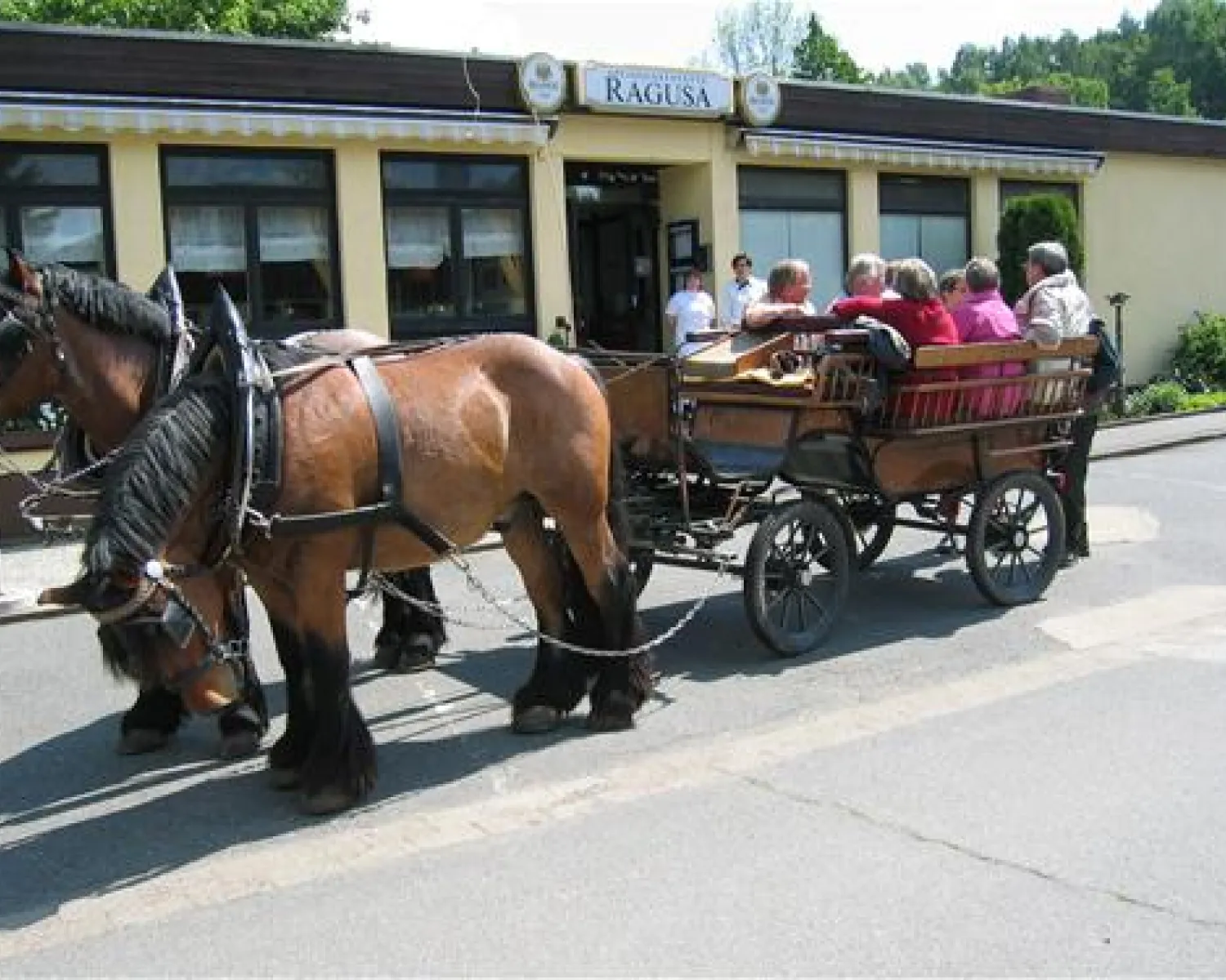 camping küchenzelt HeroCamper Küchenzelt für Camper & Outdoor