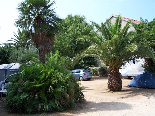 Camping Glavna Plaza - Photo 2