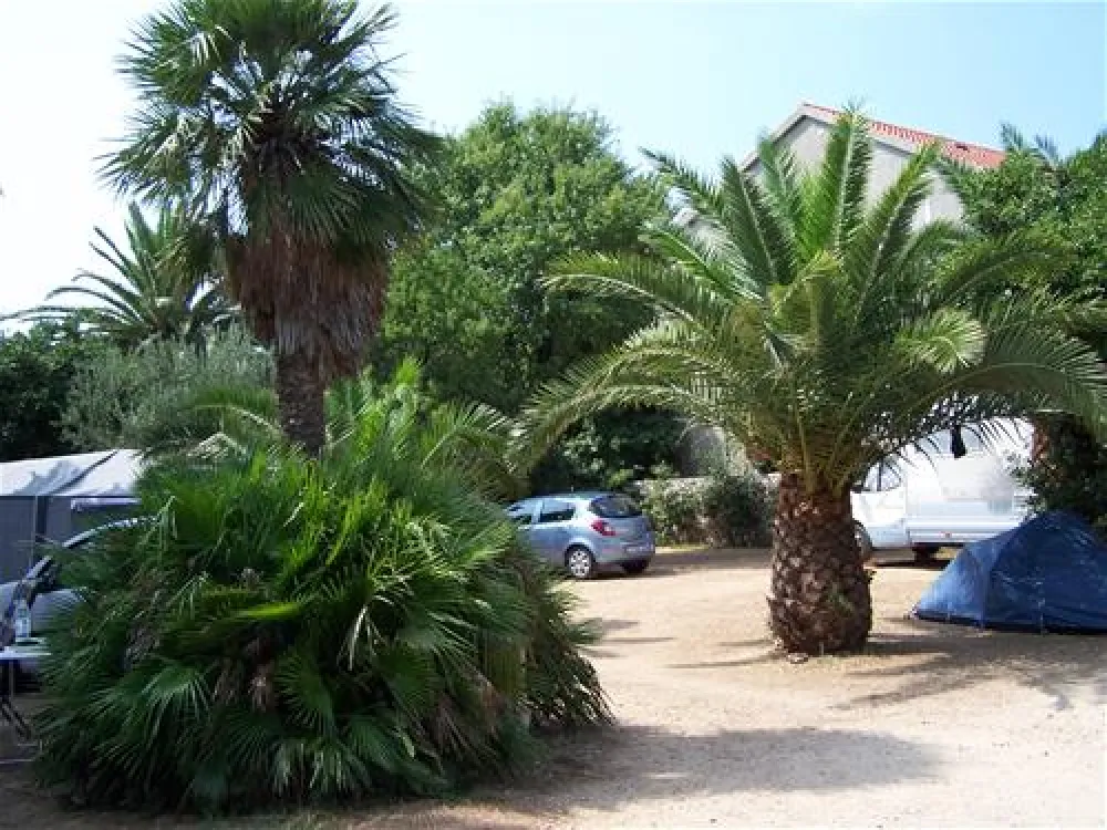 Camping Glavna Plaza