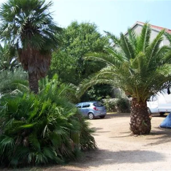 Camping Glavna Plaza