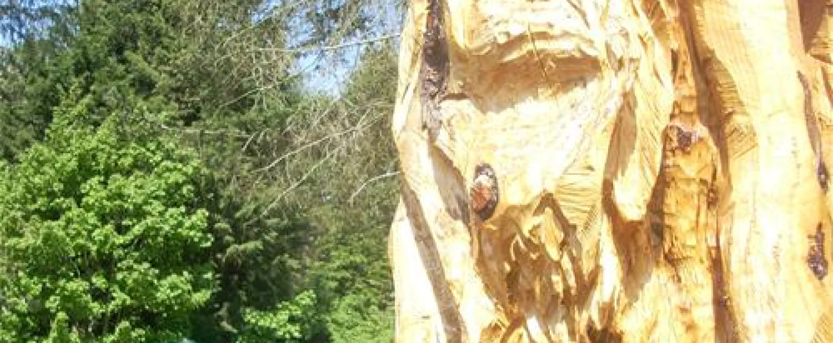 Pen y Bont Touring Park