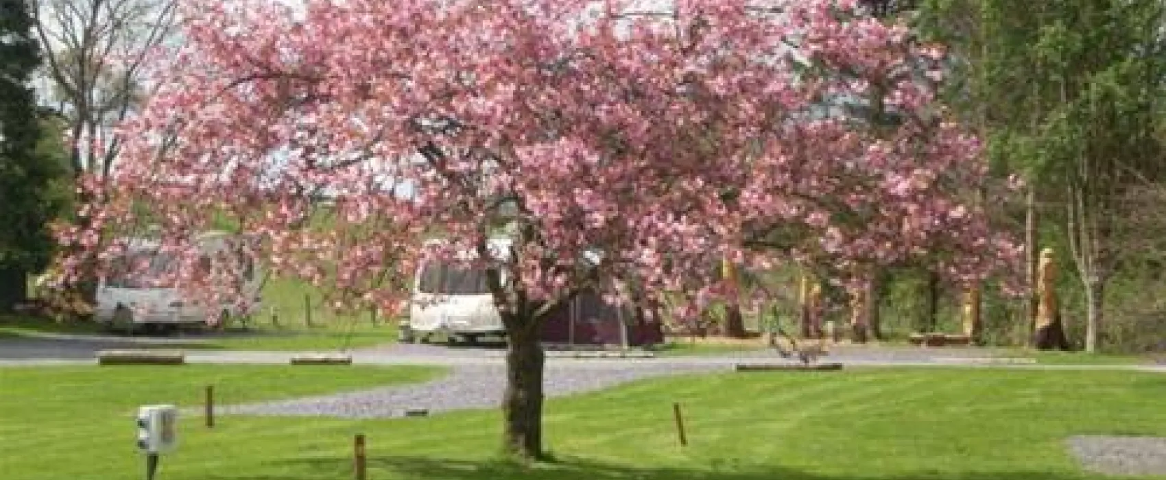 Pen y Bont Touring Park