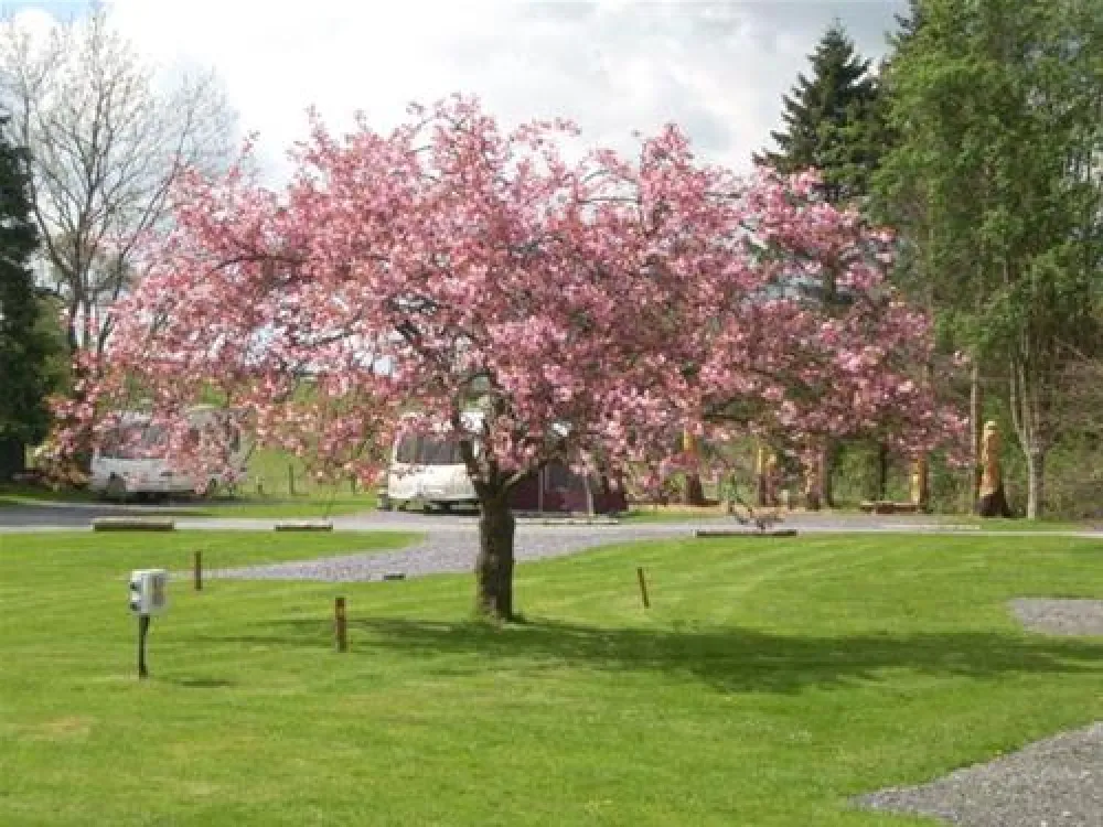 Pen y Bont Touring Park