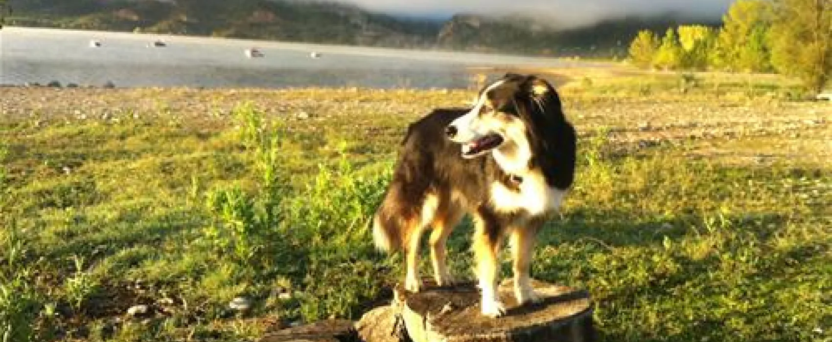 Camping Faro De Higuer