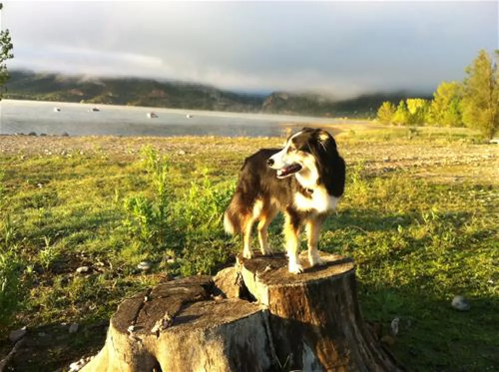 Camping Faro De Higuer