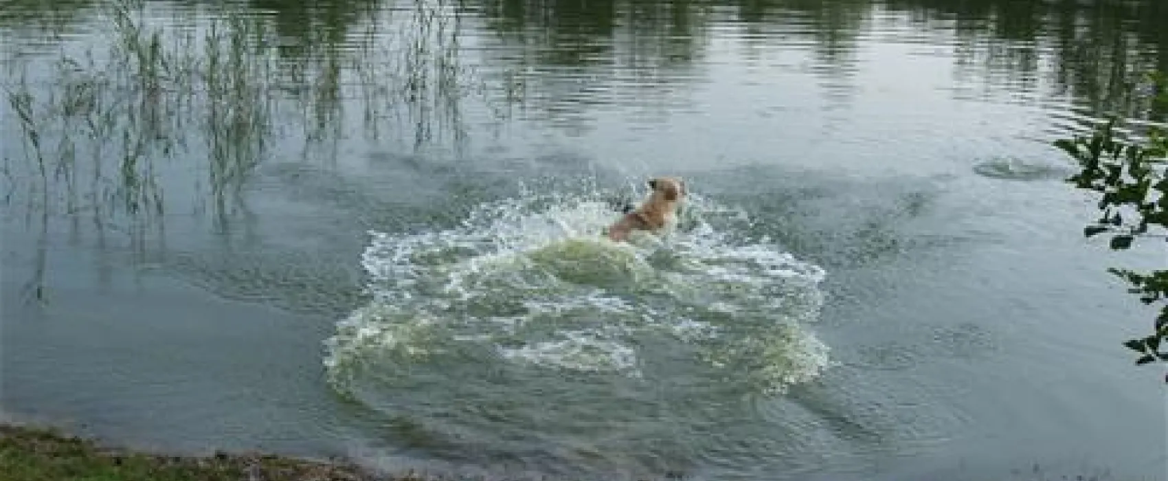 Camping De Havixhorst