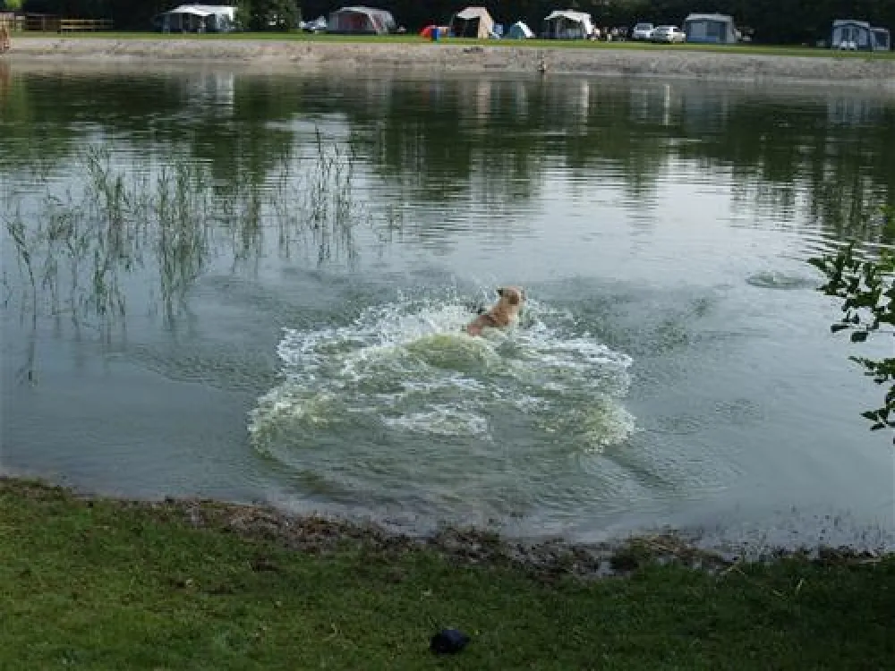 Camping De Havixhorst