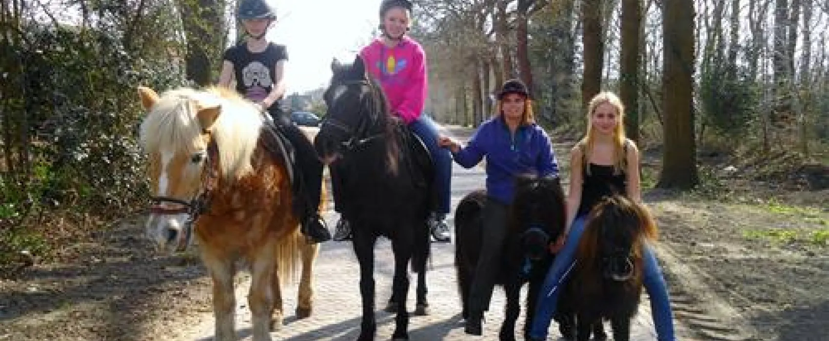 Camping De Havixhorst