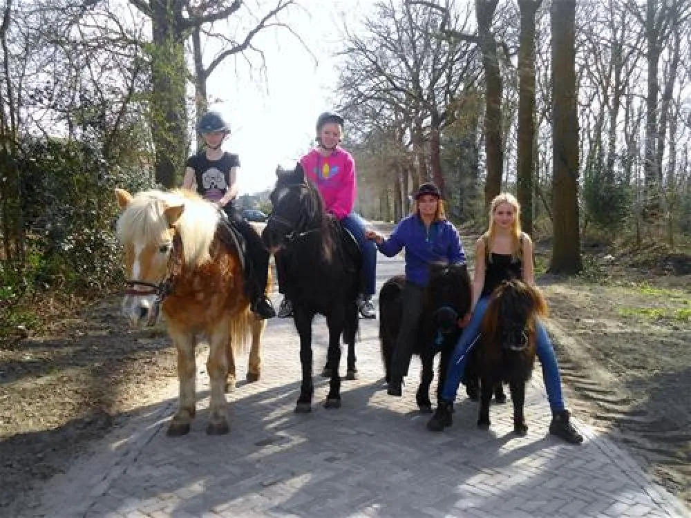 Camping De Havixhorst