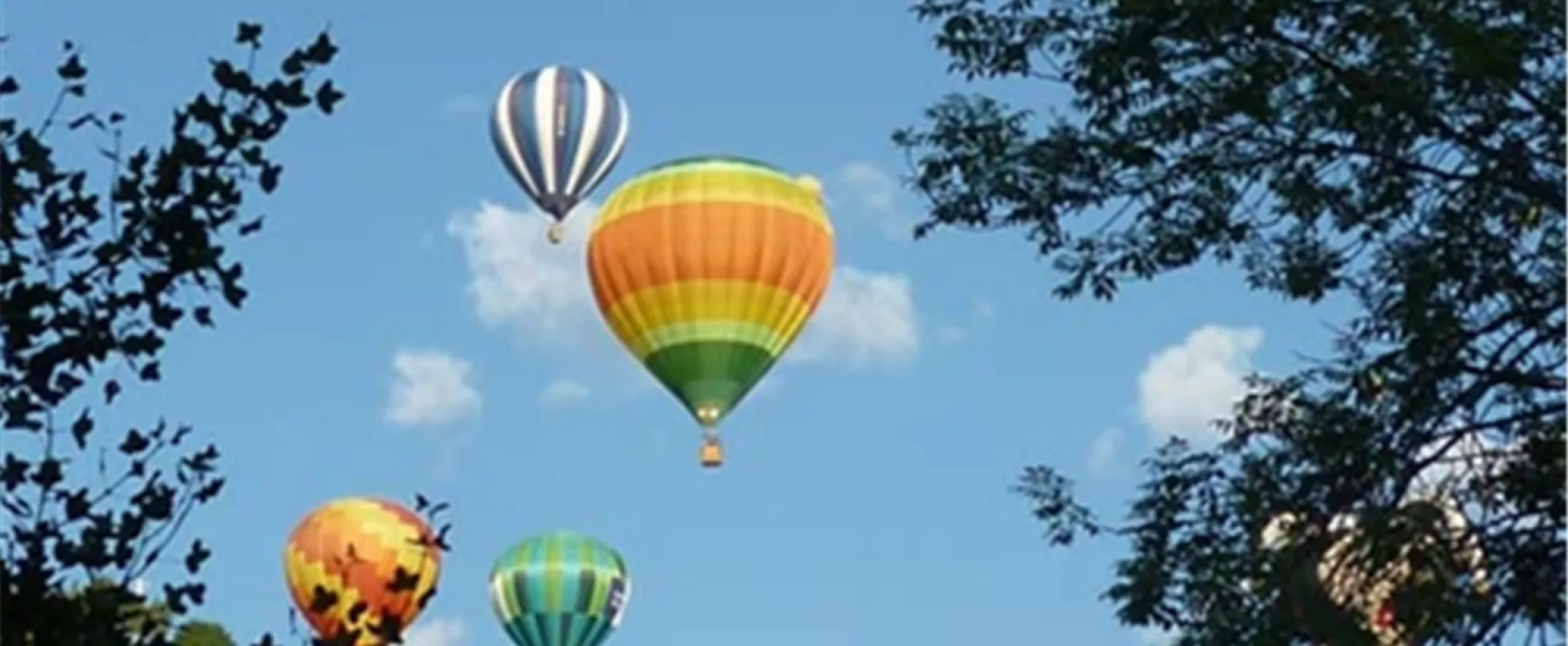 Camping Municipal La Cabane Verte