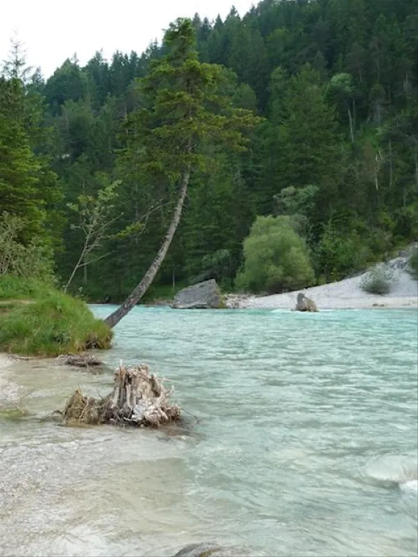 Naturcampingpark Isarhorn