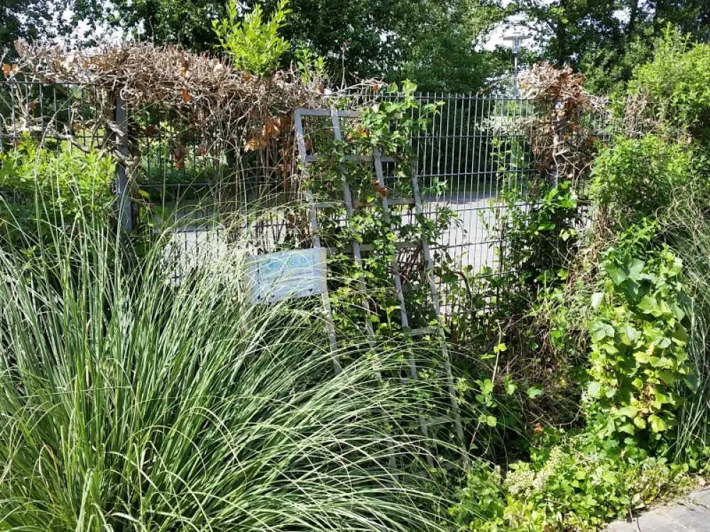 Campingplatz Blauer See