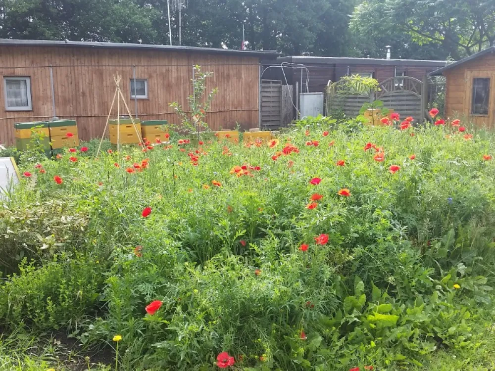 Campingplatz Blauer See