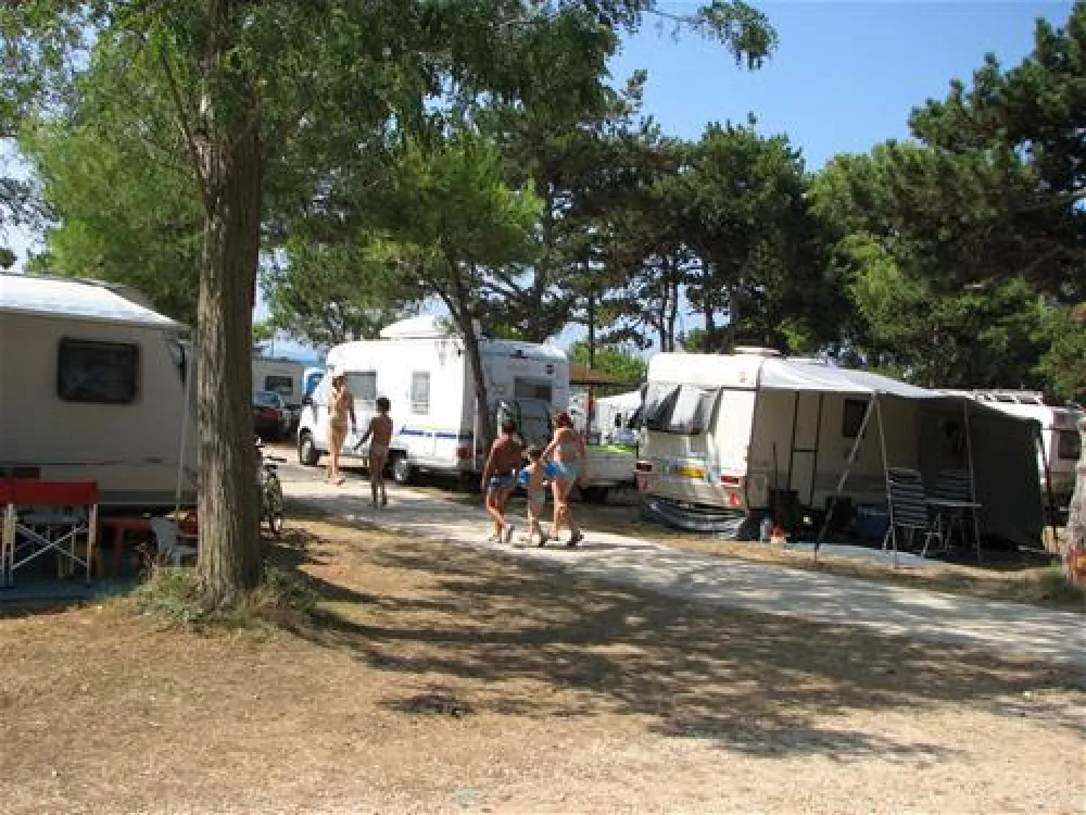Dalmacija-Camp