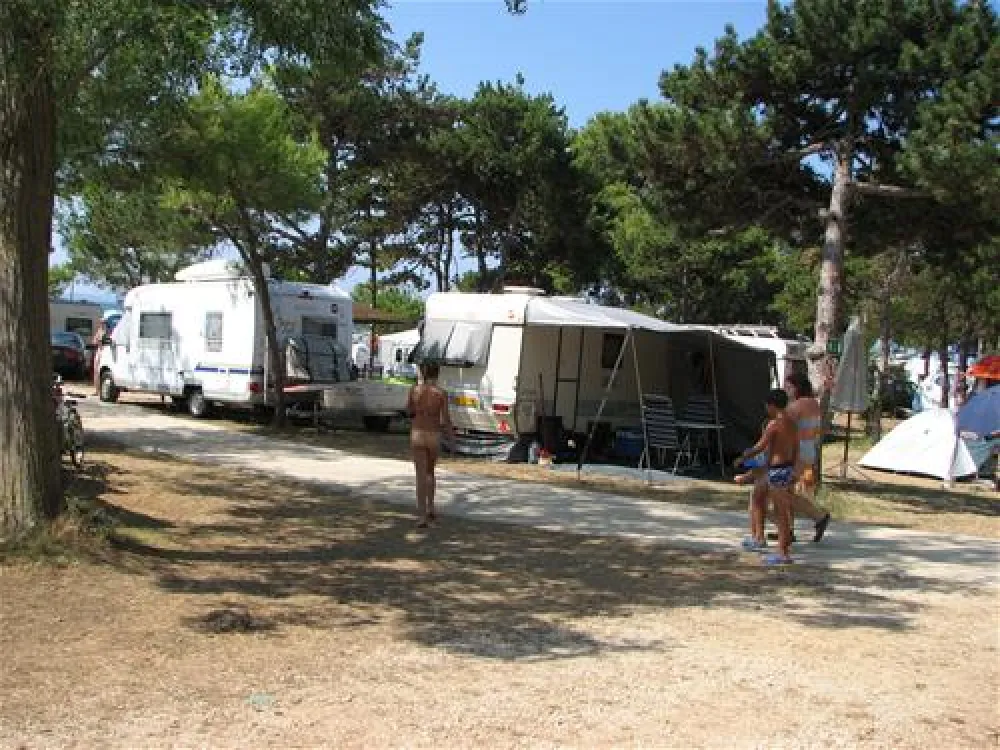 Dalmacija-Camp