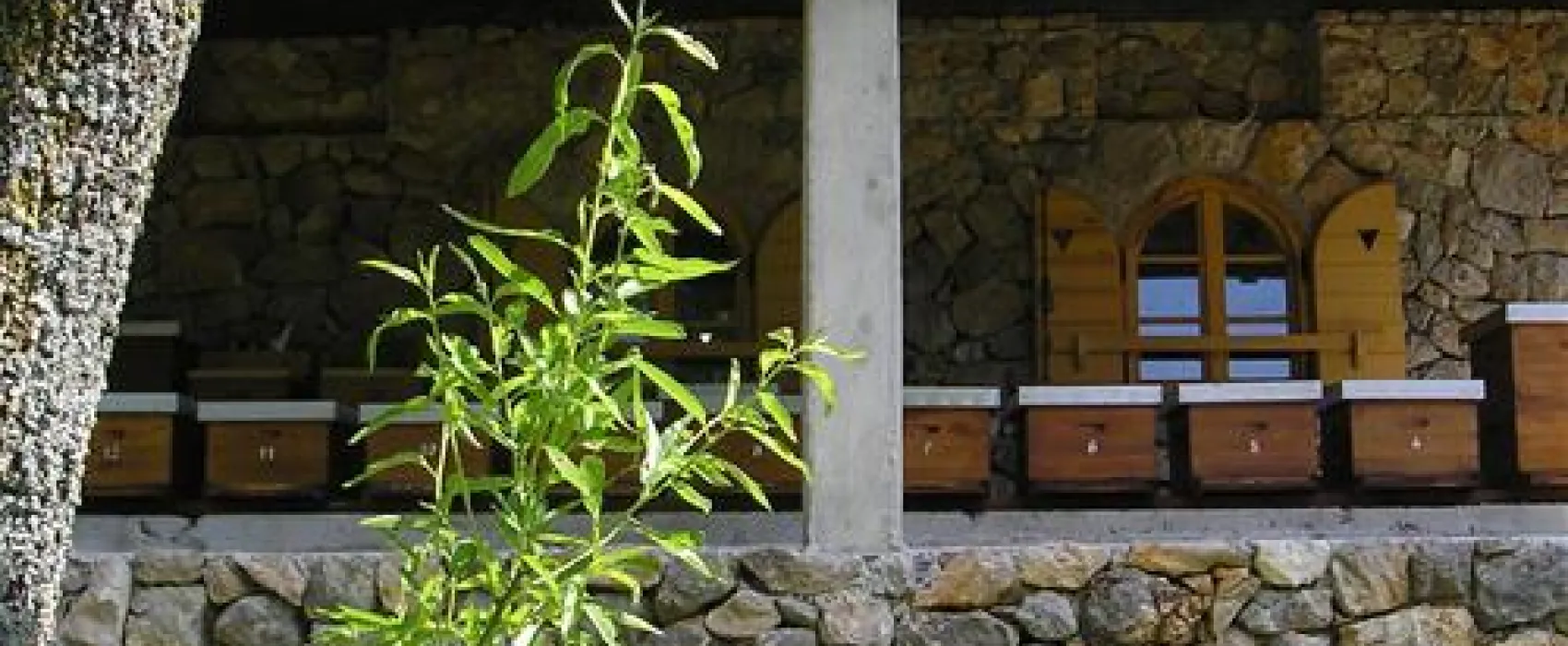 Camping Vrata Velebita