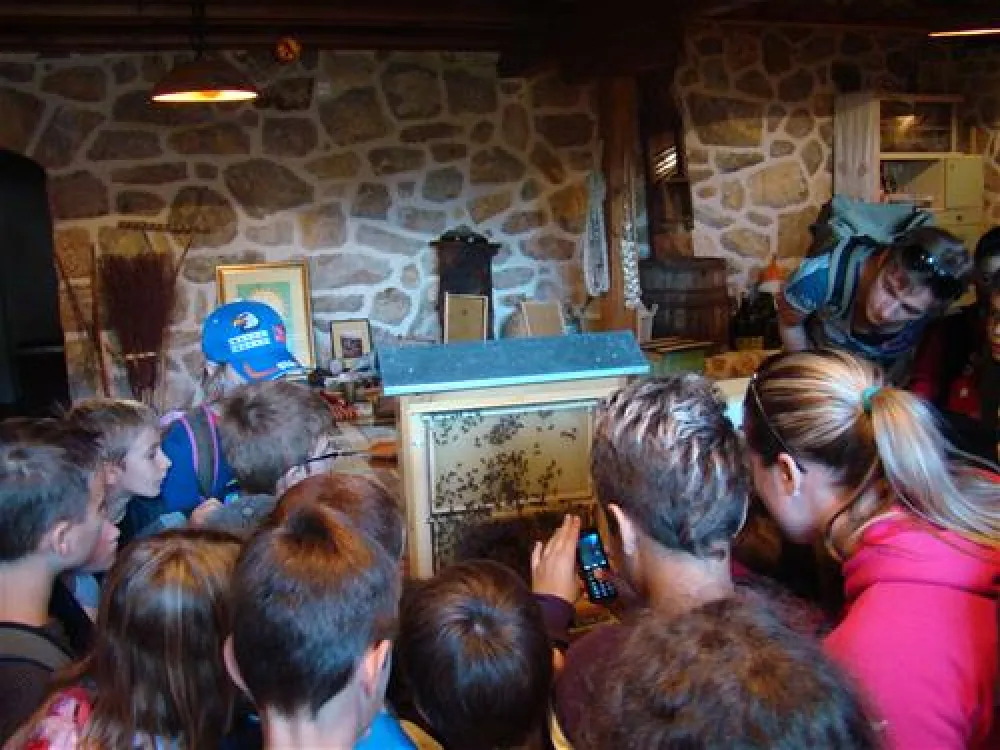 Camping Vrata Velebita