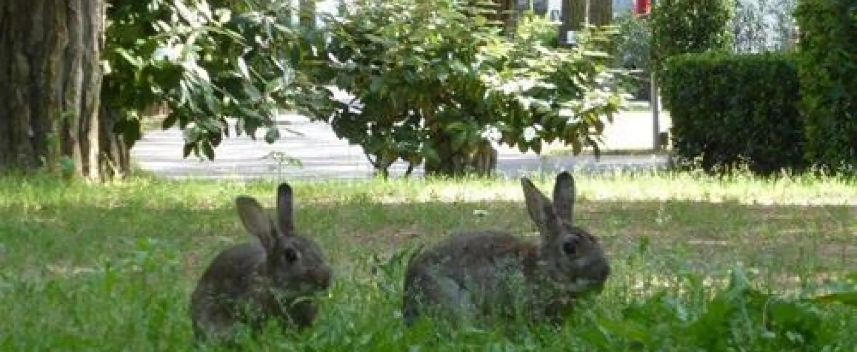 Camping Enzo Stella Maris