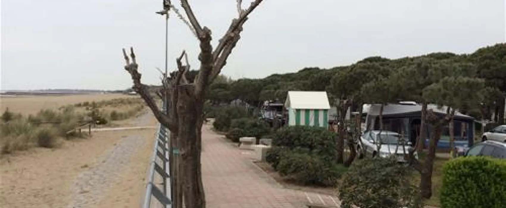 Camping Enzo Stella Maris