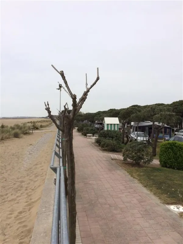 Camping Enzo Stella Maris