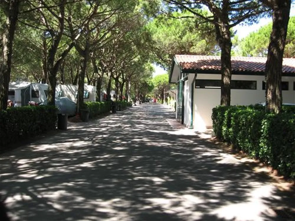 Camping Enzo Stella Maris