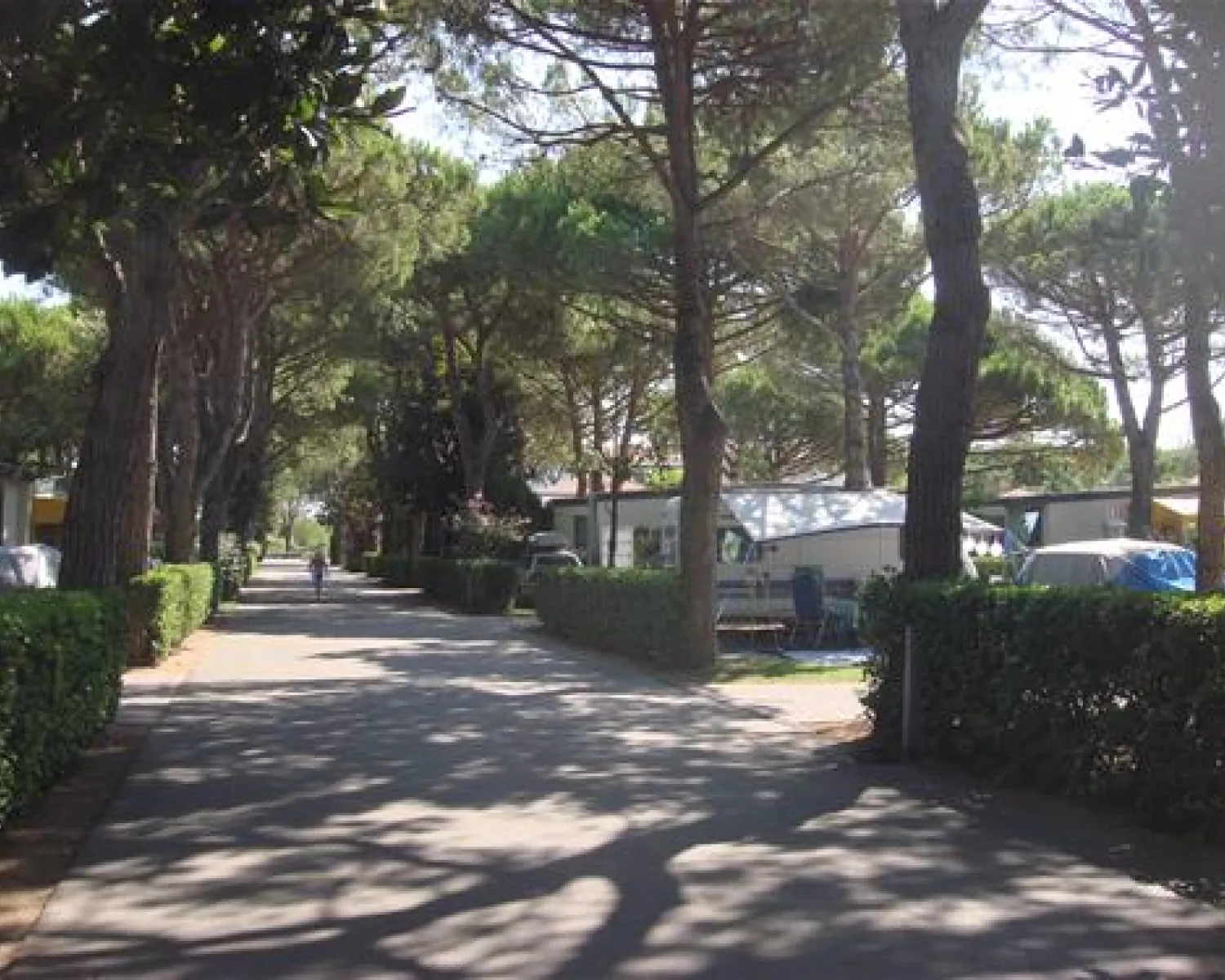 Camping Enzo Stella Maris in Italy - Spottocamp - Spottocamp