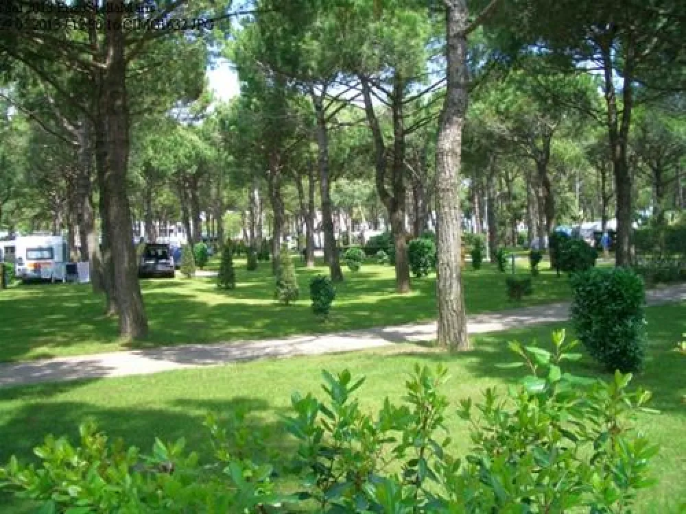 Camping Enzo Stella Maris