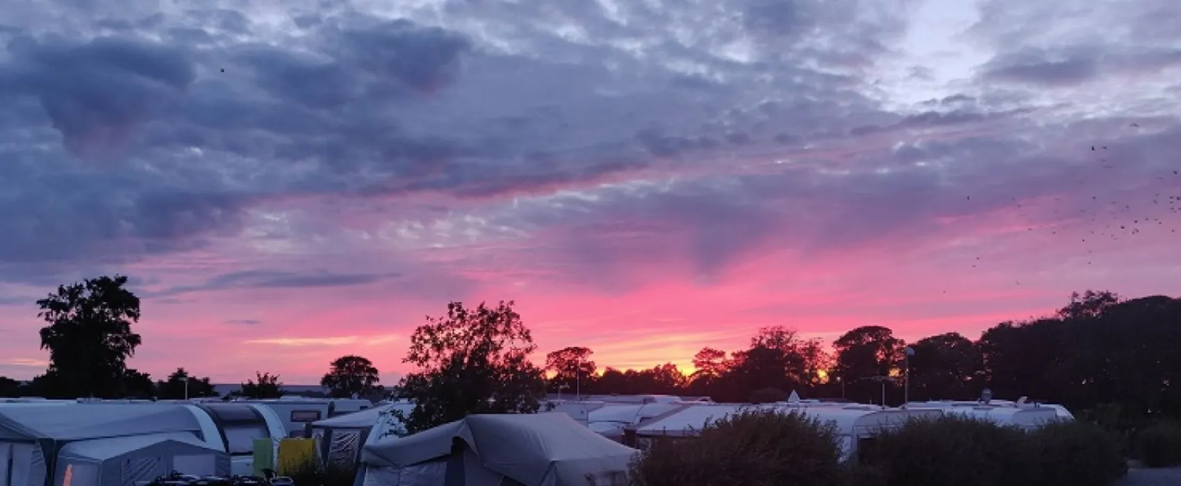 Hasle Camping & hytteby