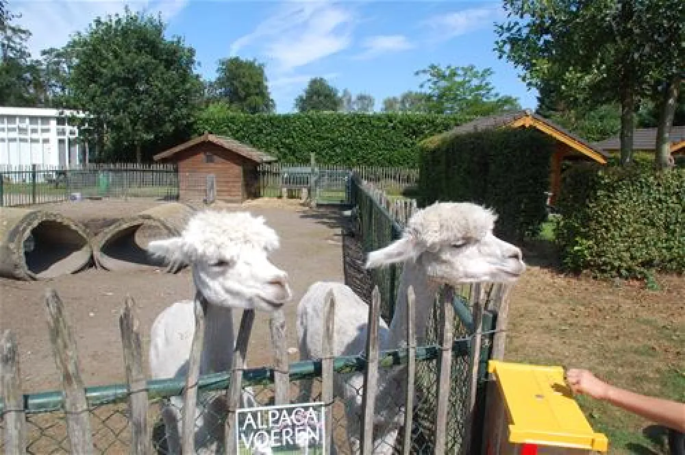 Camping De Achterste Hoef