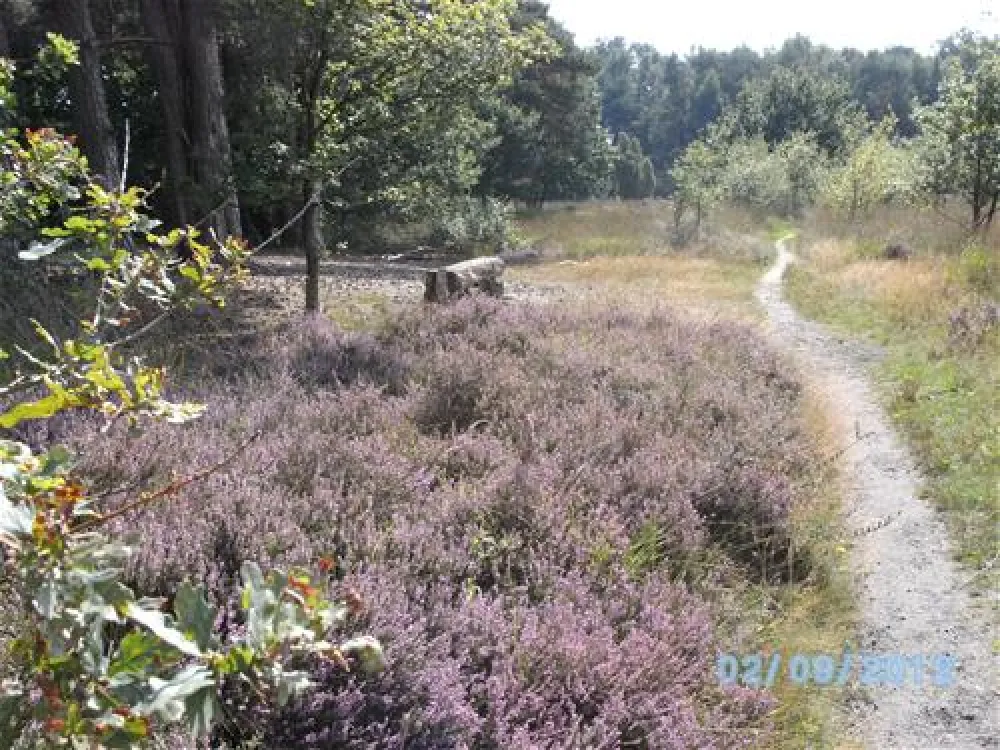 Camping De Veldscholte