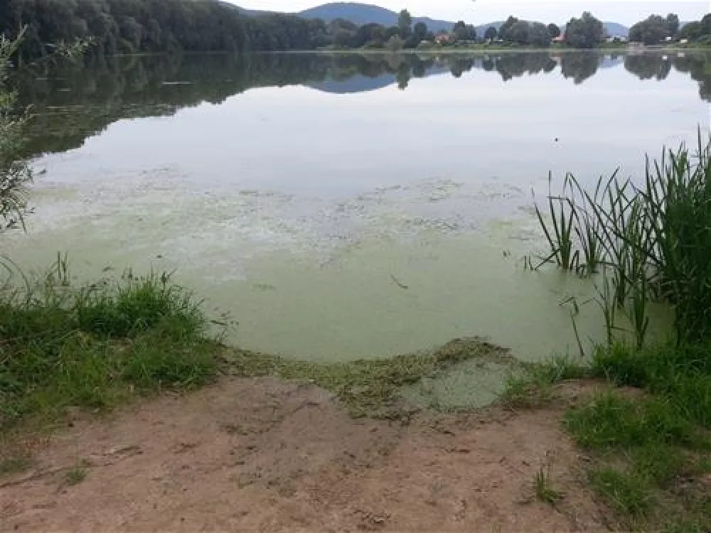 Erholungsgebiet Doktor-See