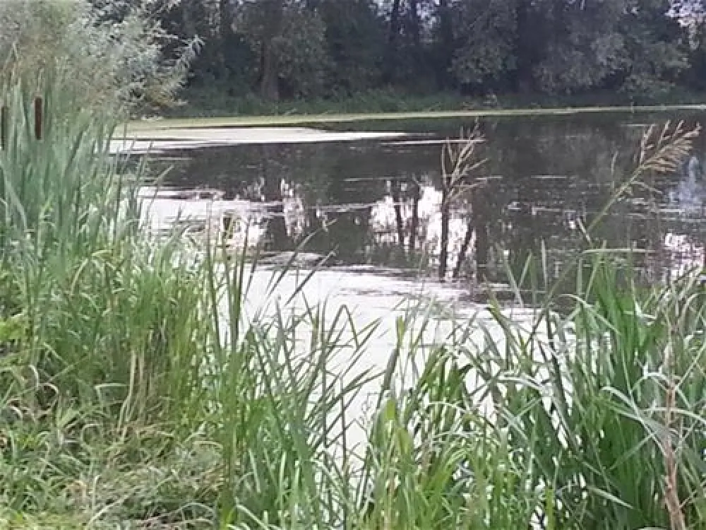 Erholungsgebiet Doktor-See