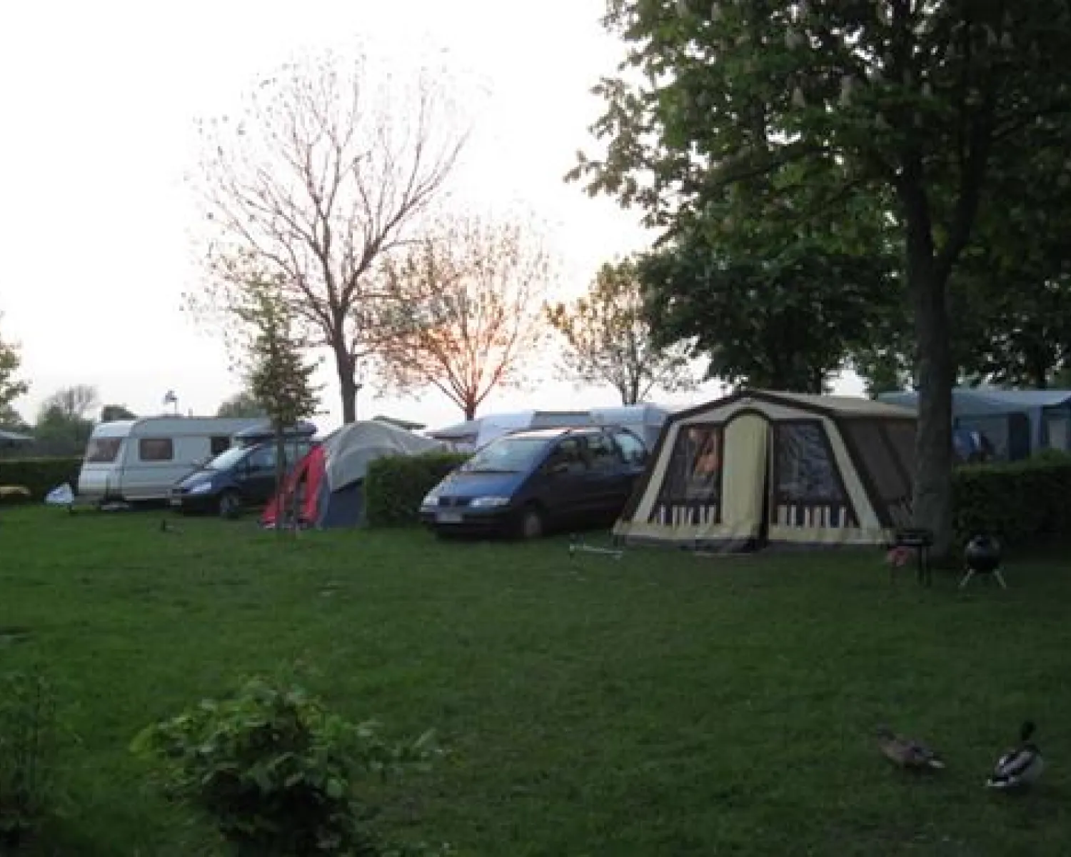 sichtschutz fr camping HAPPY CAMPING Textil Markisen-Sichtschutz als Vorderwand