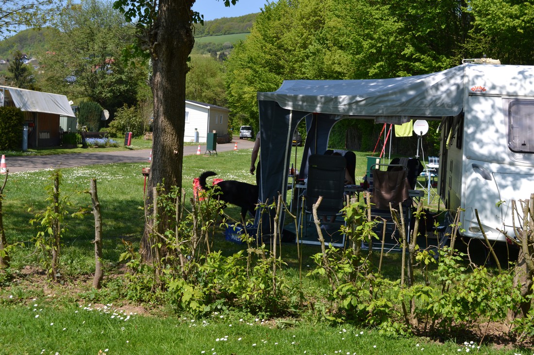 ebay zelte Tidyard Campingzelt 2 Personen Camping für Familie, Trekking, Outdoor, Festival, Blau 200x120x88/62 cm 185T TAFT Sport & Freizeit Type:Standard Axle PresDaySale How to Prevent Ski