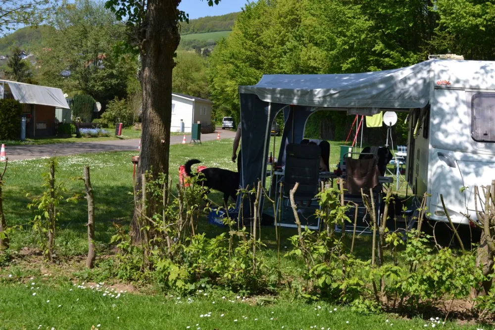 Camping am Königsberg