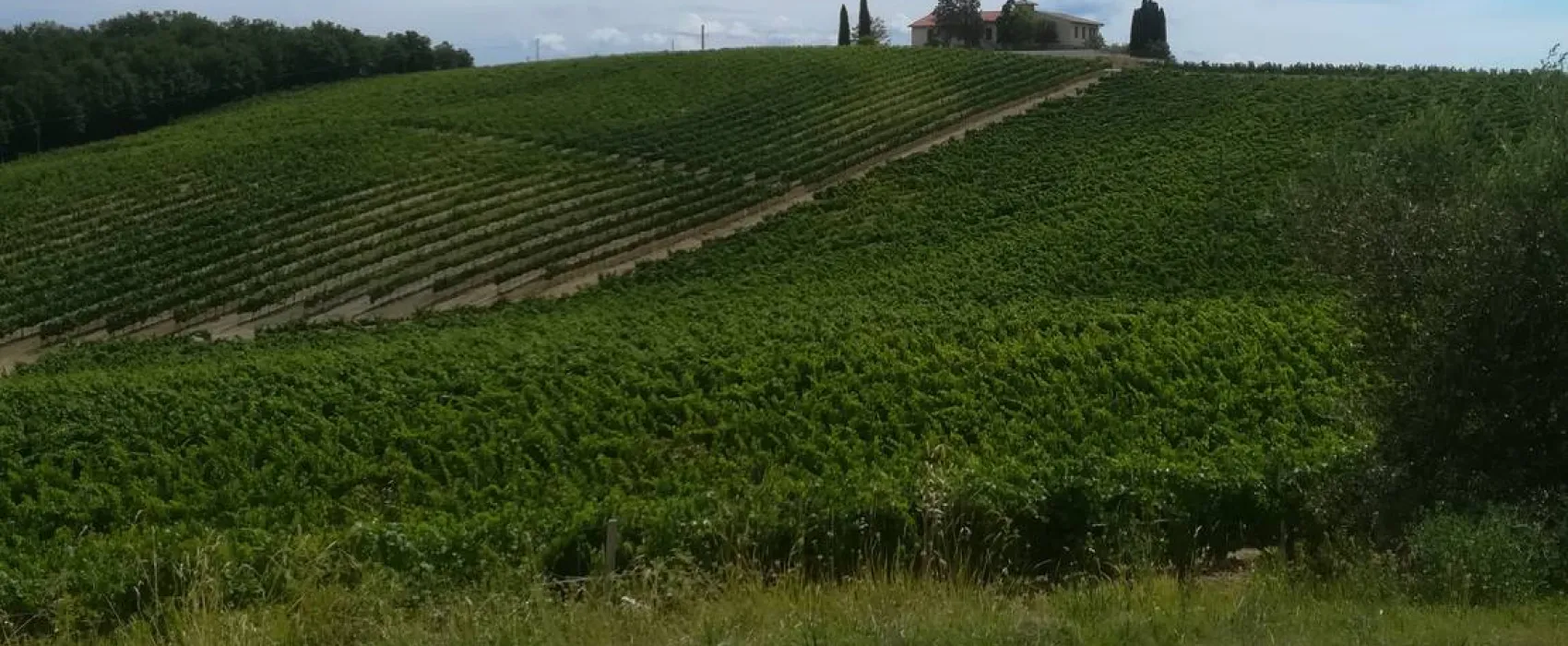 AGRICAMPING POGGIO AI PINI