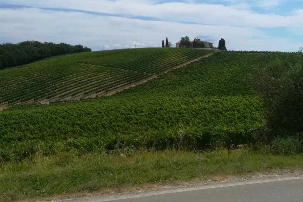 AGRICAMPING POGGIO AI PINI