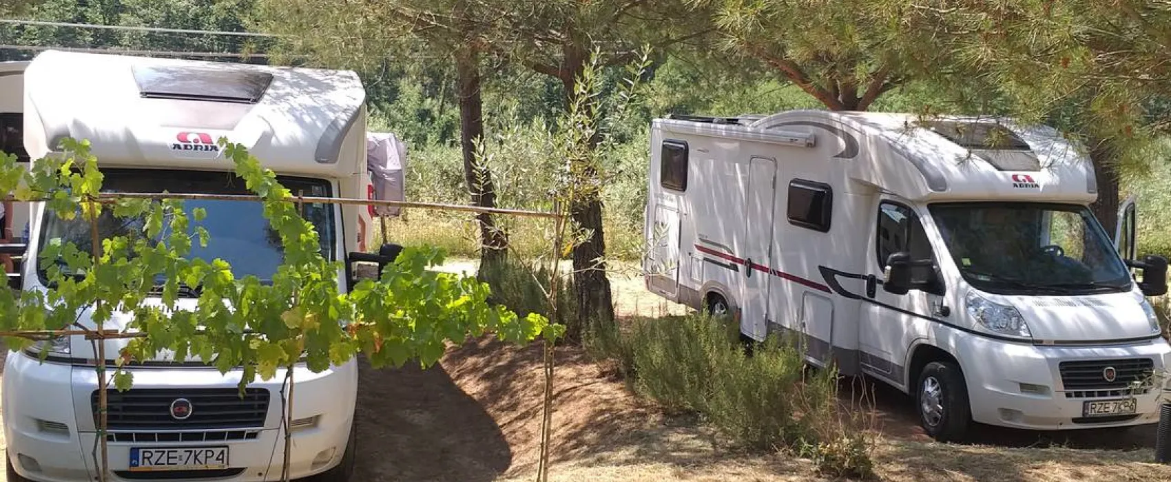 AGRICAMPING POGGIO AI PINI