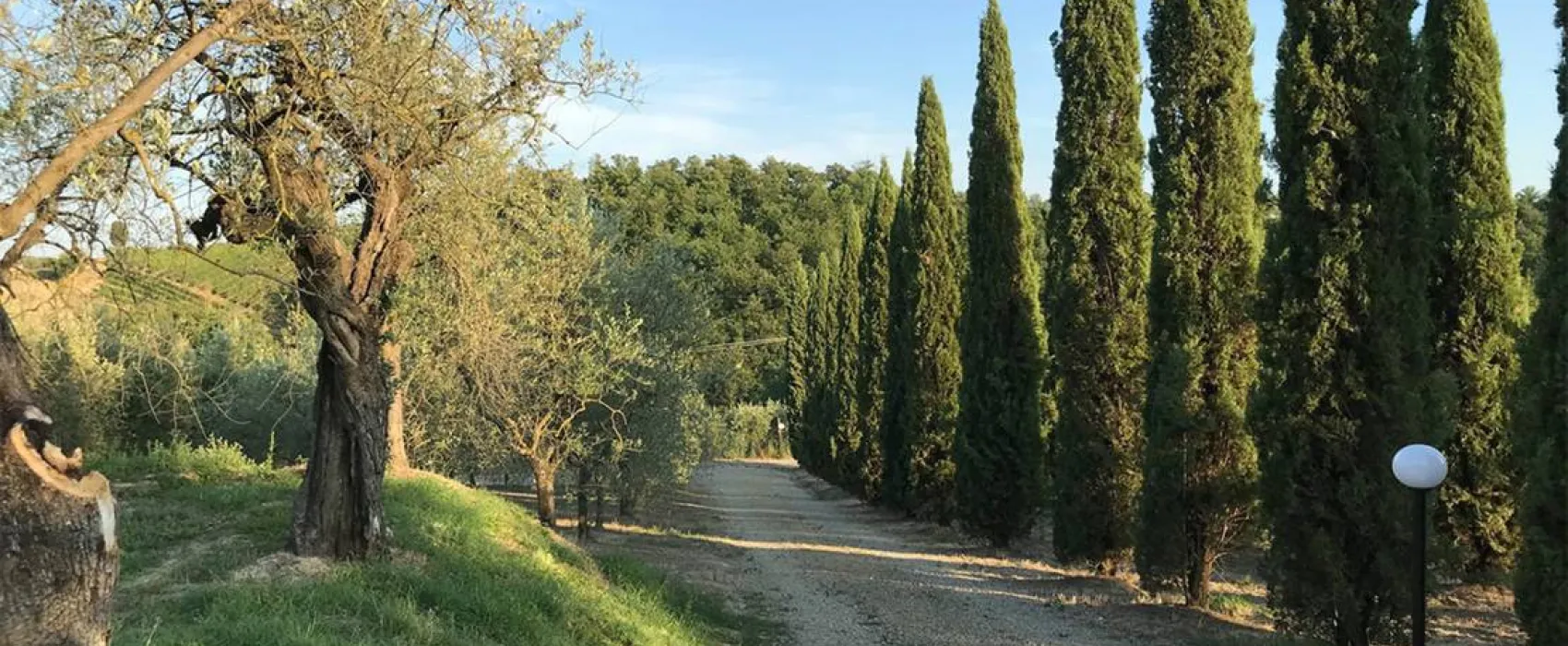 AGRICAMPING POGGIO AI PINI